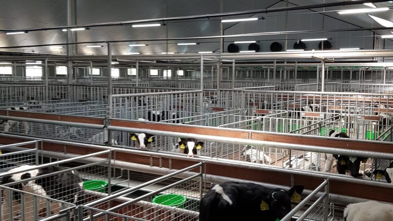 广州电商代运营合同范本：合同关键条款解析与签订注意事项
